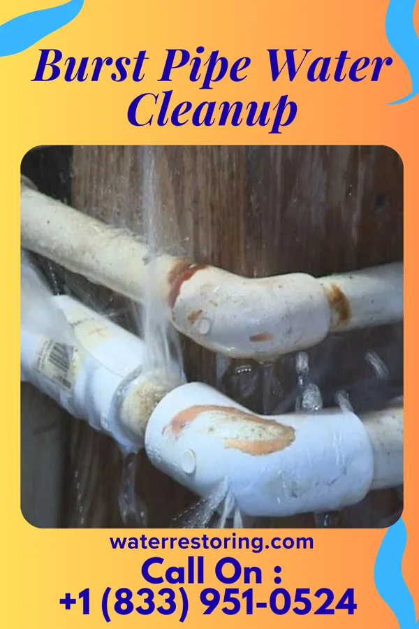 Burst Pipe Water Cleanup in Port Chester, NY