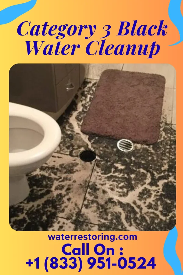 Category 3 Black Water Cleanup in Port Chester, NY
