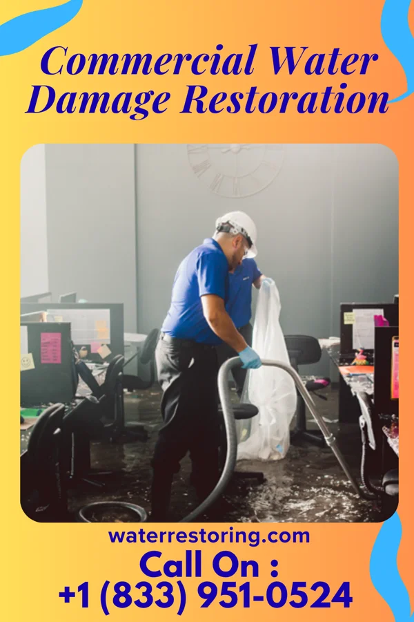 Commercial Water Damage Restoration in Port Chester, NY