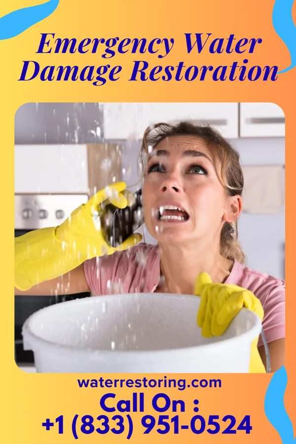 Emergency Water Damage Restoration in Port Chester, NY
