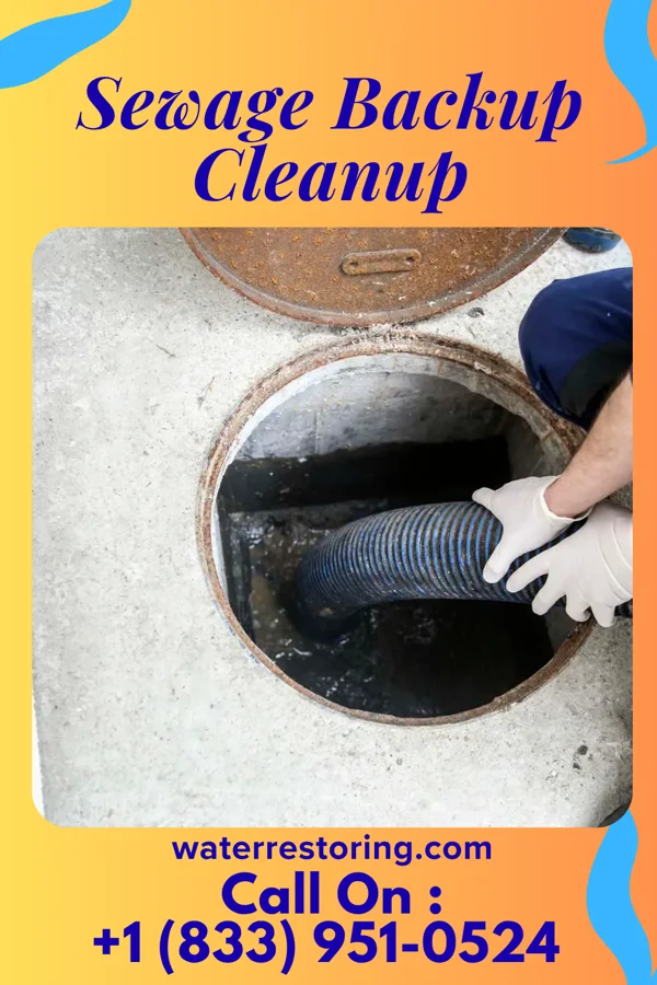 Sewage Backup Cleanup in Port Chester, NY