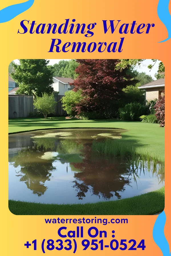 Standing Water Removal in Port Chester, NY
